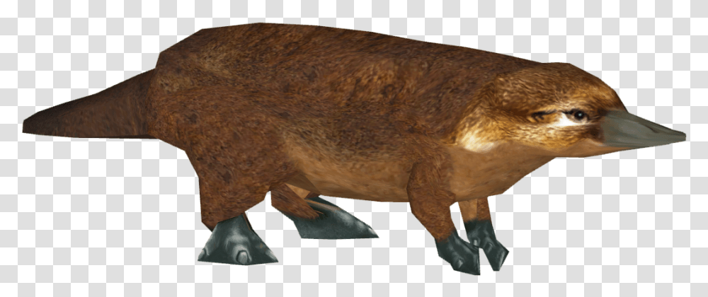Download Platypus Image With No Platypus, Animal, Bird, Mammal, Dinosaur Transparent Png