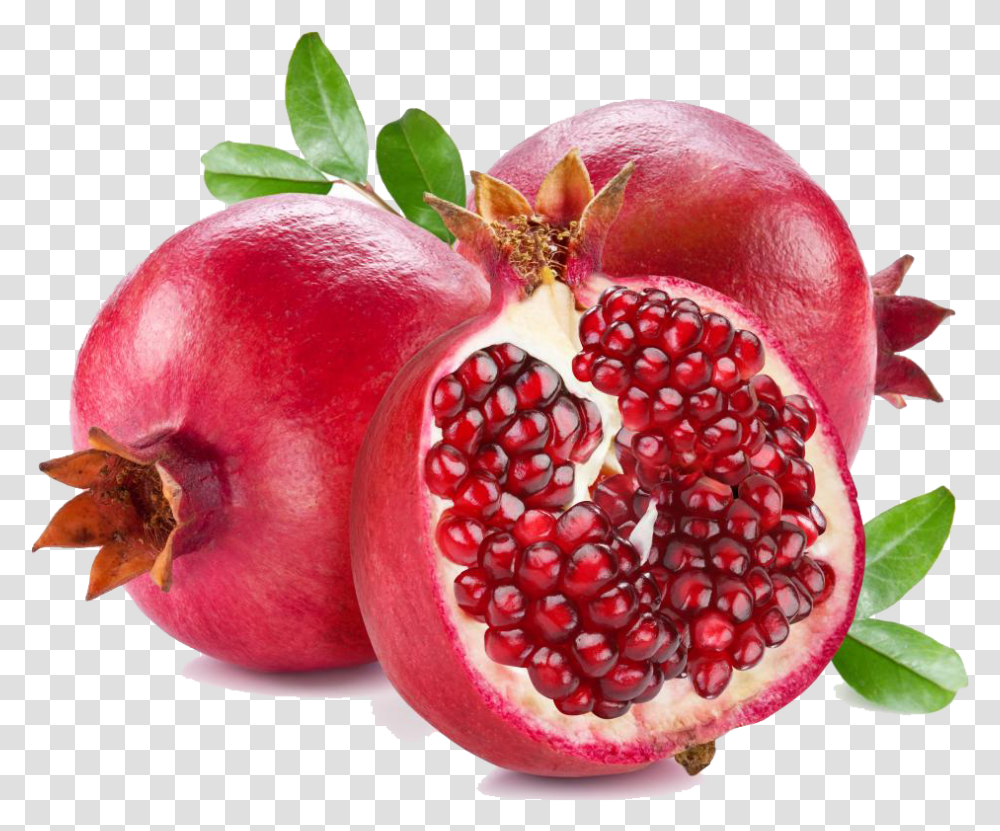Download Pomegranate Clipart Pomegranate, Plant, Rose, Flower, Blossom Transparent Png