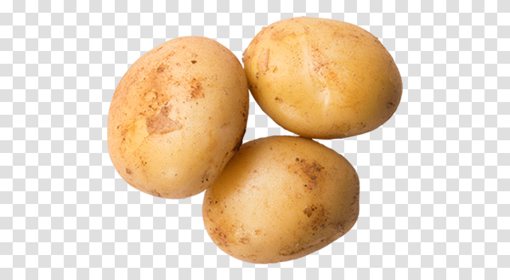 Download Potato Yukon Gold Potato Full Size Image Background Potato, Vegetable, Plant, Food Transparent Png