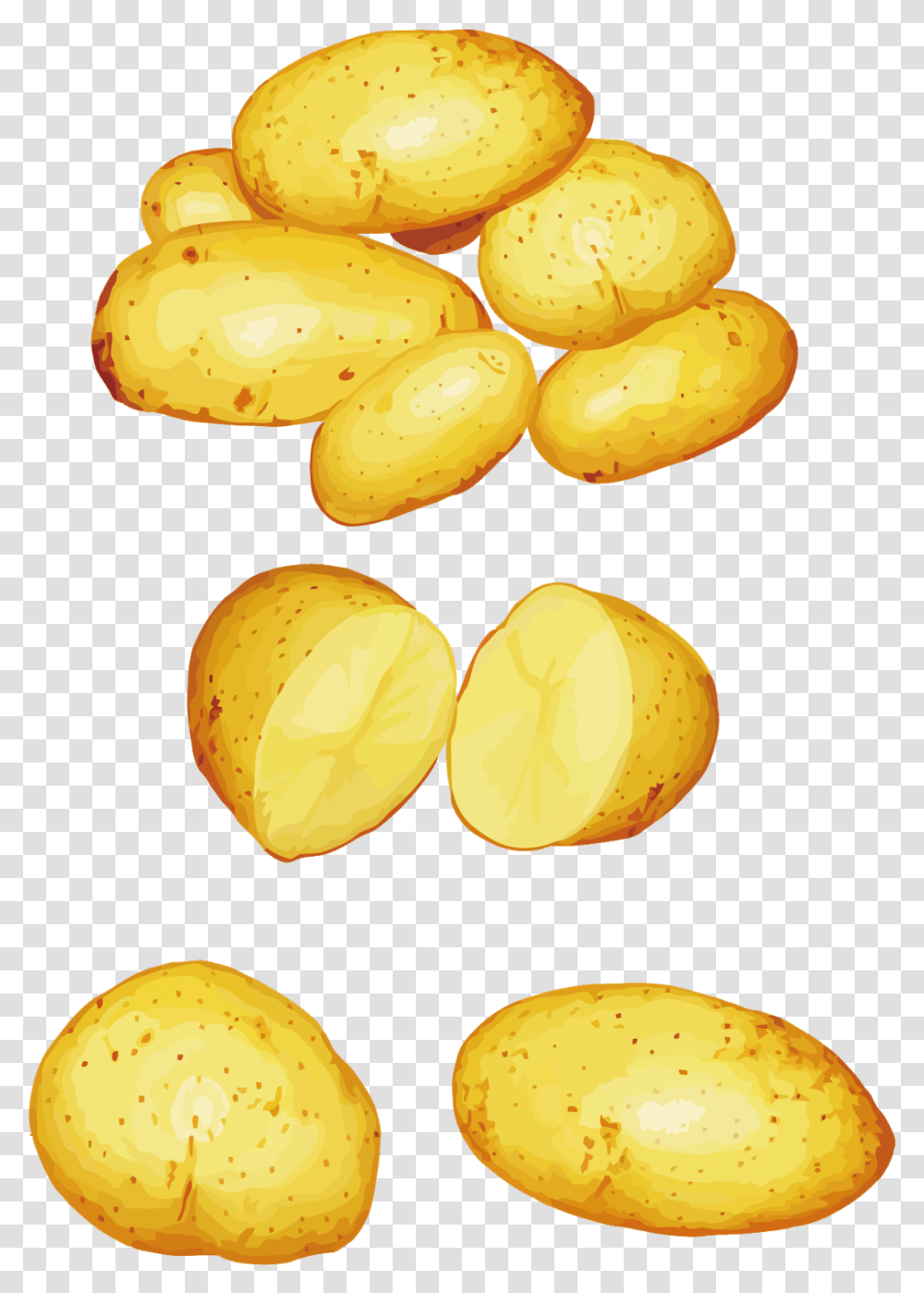 Download Potatoes Clipart Vector, Plant, Vegetable, Food, Nut Transparent Png