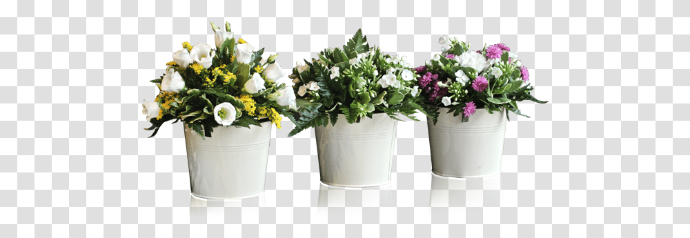 Download Potted Plants And Flowers Flowerpot, Blossom, Flower Arrangement, Flower Bouquet, Bucket Transparent Png