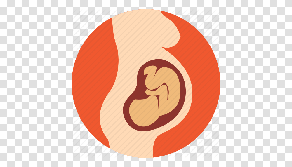 Download Pregnant Icon Clipart Pregnancy Fetus Circle, Label, Ear Transparent Png