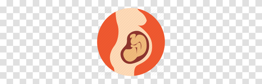 Download Pregnant Icon Clipart Pregnancy Fetus, Label, Plant, Food Transparent Png