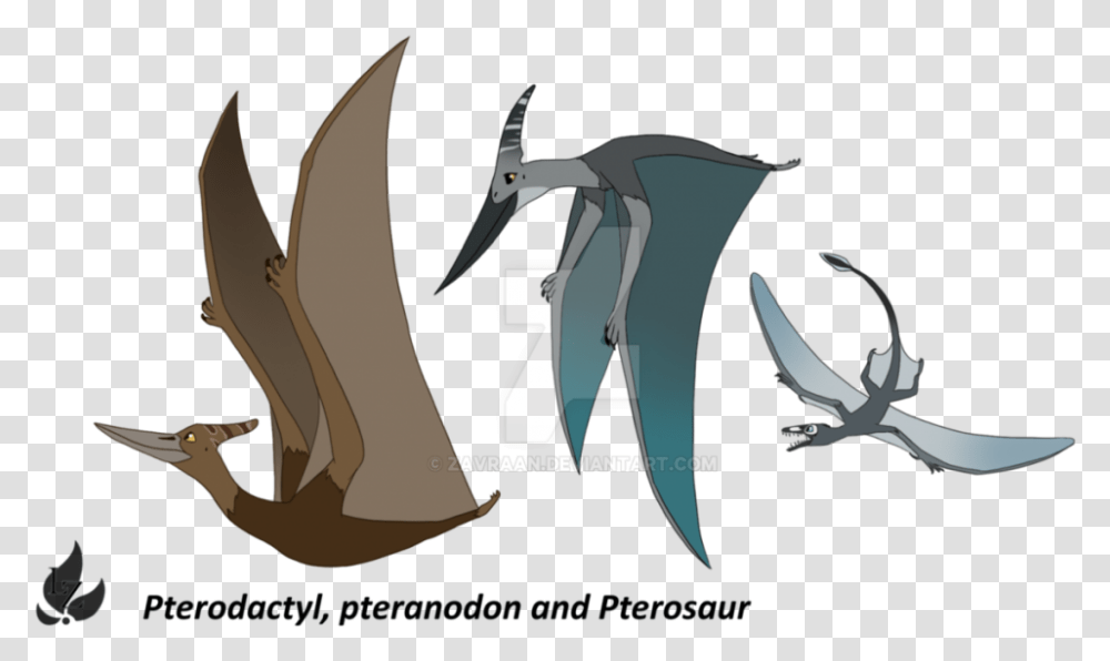 Download Pterosaurs Background For Designing Work Pterodactyl And Pteranodon Difference, Sunglasses, Animal, Mammal, Bird Transparent Png
