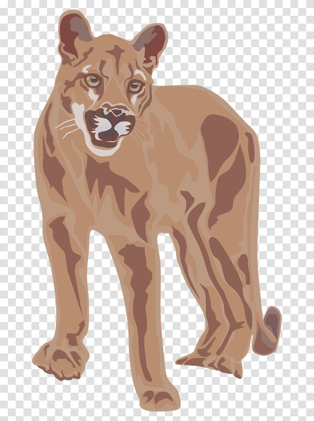 Download Puma Clipart Cougar Clipart, Mammal, Animal, Cow, Cattle Transparent Png