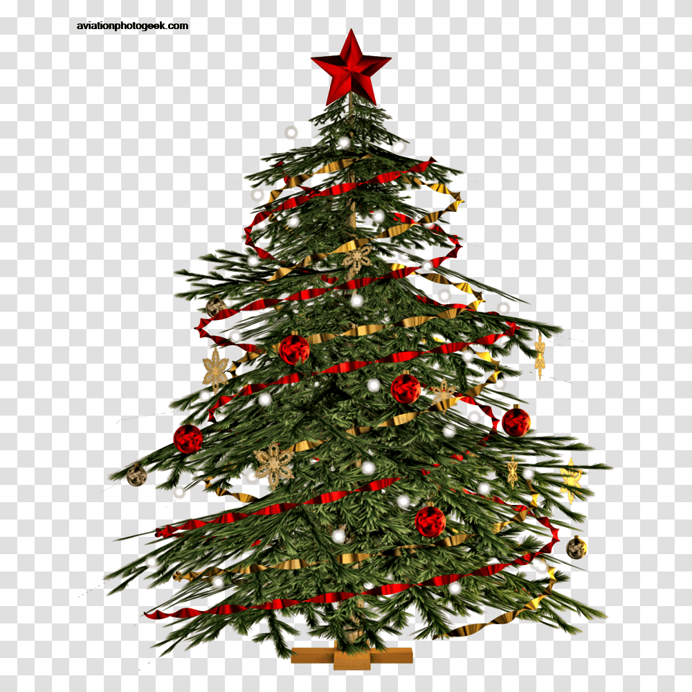 Download Purchase Christmas Decorations Ideas Christmas Tree, Ornament, Plant Transparent Png