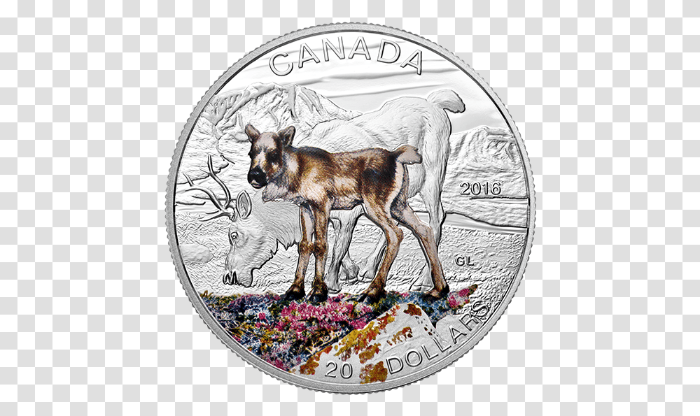 Download Pure Silver Coloured Coin Baby Animals Roe Deer Canadian Coins With Animals, Mammal, Dog, Pet, Canine Transparent Png