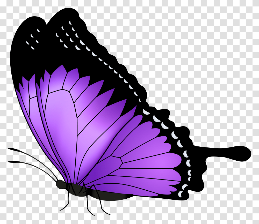 Download Purple Butterfly Clipart Photo, Insect, Invertebrate, Animal Transparent Png