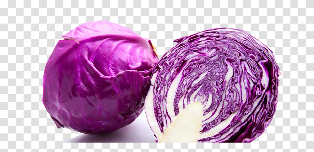 Download Purple Cabbage Image Different Type Of Cabbage Name, Plant, Vegetable, Food, Kale Transparent Png