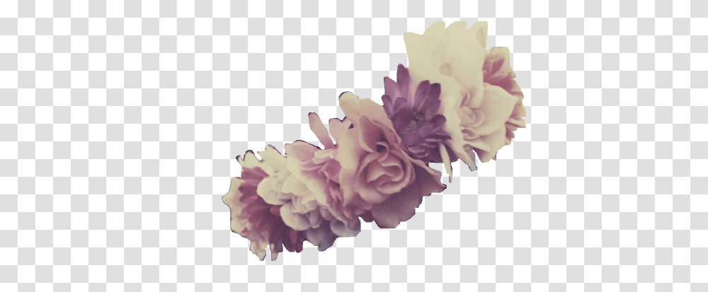 Download Purple Flower Crown Purple Flower Crown, Plant, Carnation, Peony, Petal Transparent Png