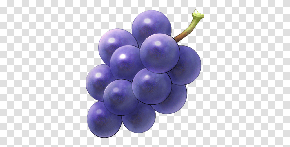 Download Purple Grapes Purple Grape, Plant, Fruit, Food, Lamp Transparent Png