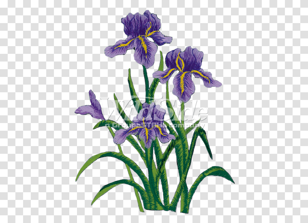 Download Purple Iris Flower Side Full Size Iris Flower Embroidery, Plant, Blossom, Acanthaceae Transparent Png