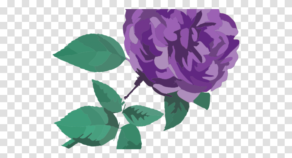 Download Purple Rose Clipart Flower Clipart No Background, Plant, Green, Leaf, Peony Transparent Png