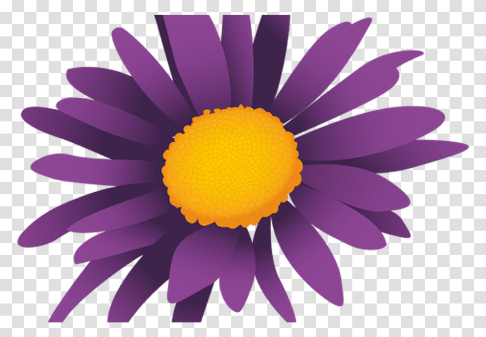 Download Purple Sunflower Cartoon & Svg Purple Daisy Cartoon, Plant, Blossom, Daisies, Petal Transparent Png