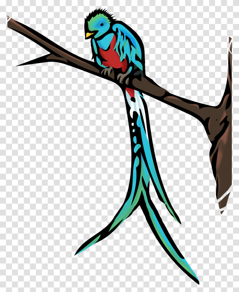 Download Quetzal Quetzal Birds Easy Drawing, Animal, Person, Human, Parrot Transparent Png