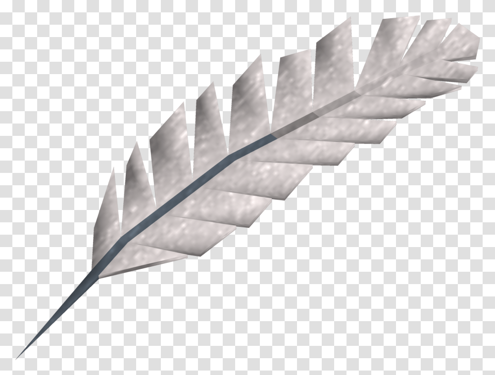 Download Quill 45570 Quill, Plant, Leaf, Fern Transparent Png