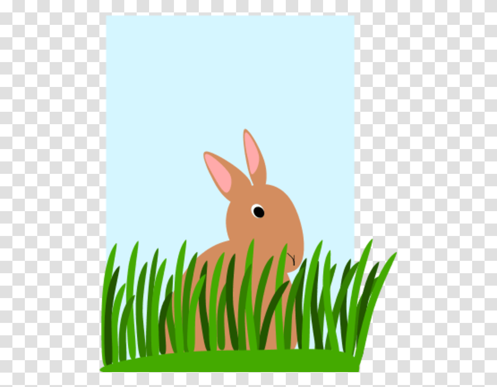 Download Rabbit In The Grass Clipart Rabbit Clip Art Rabbit, Rodent, Mammal, Animal, Bunny Transparent Png