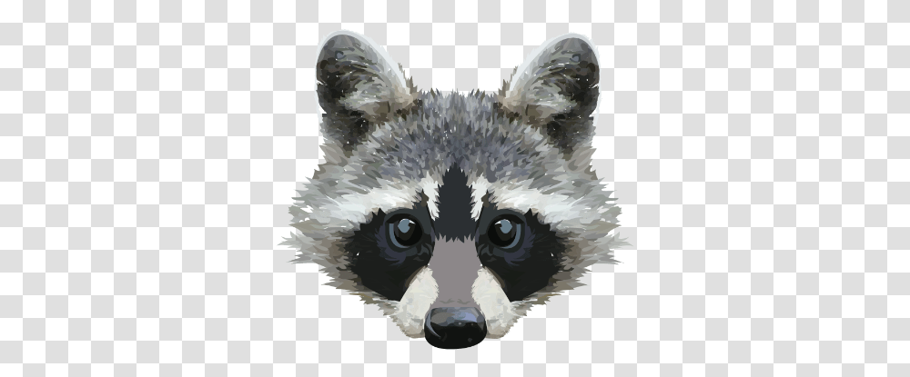 Download Raccoon Face Image Sakhalin Husky, Bird, Animal, Mammal Transparent Png
