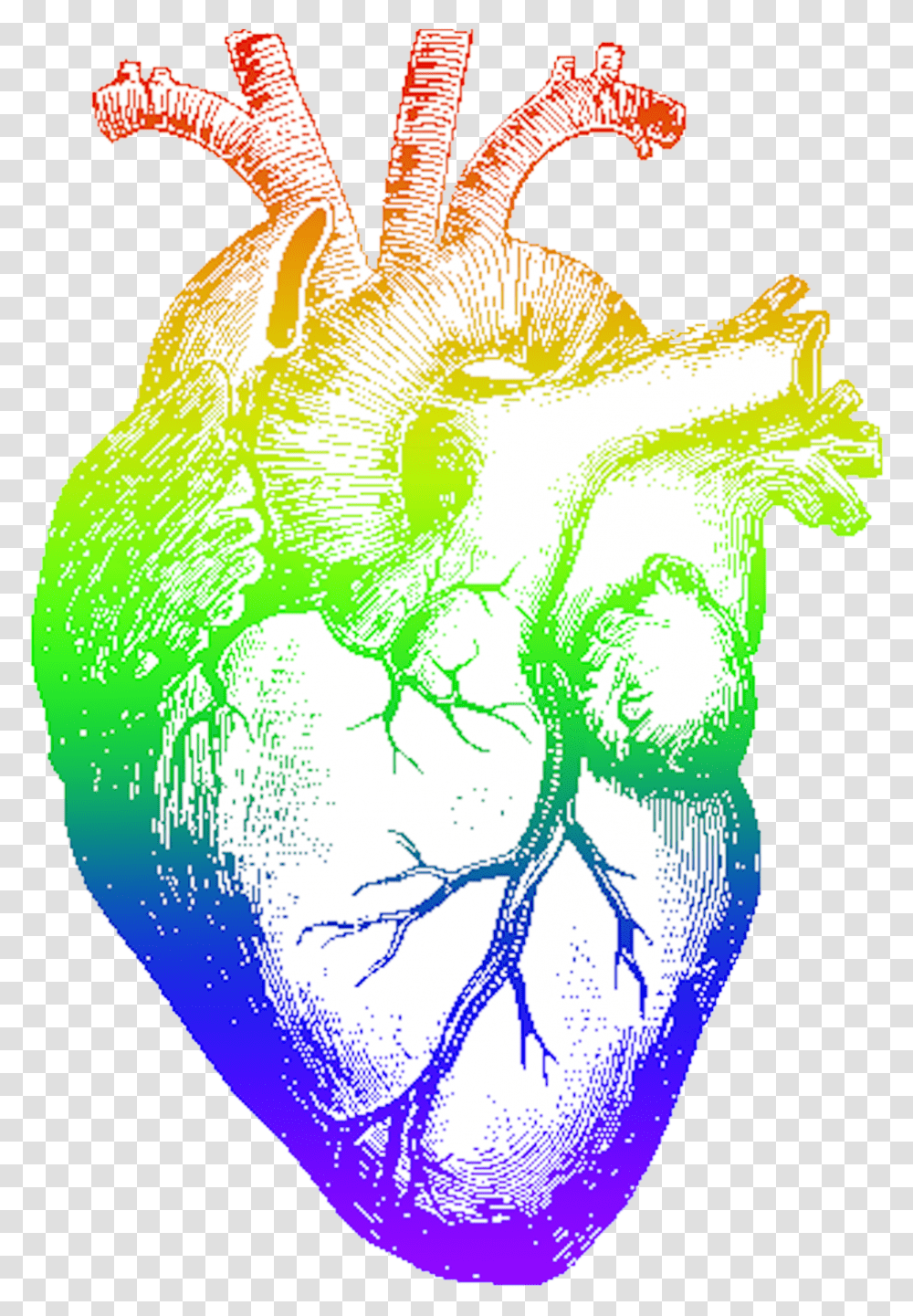 Download Rainbow Heart Image With Realistic Pencil Heart Drawing, Outer Space, Astronomy, Universe, Plant Transparent Png