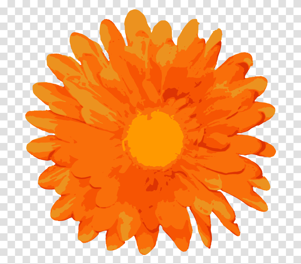 Download Random Free Flower Vectors Vector Orange Orange Flowers Vector, Plant, Blossom, Daisy, Daisies Transparent Png
