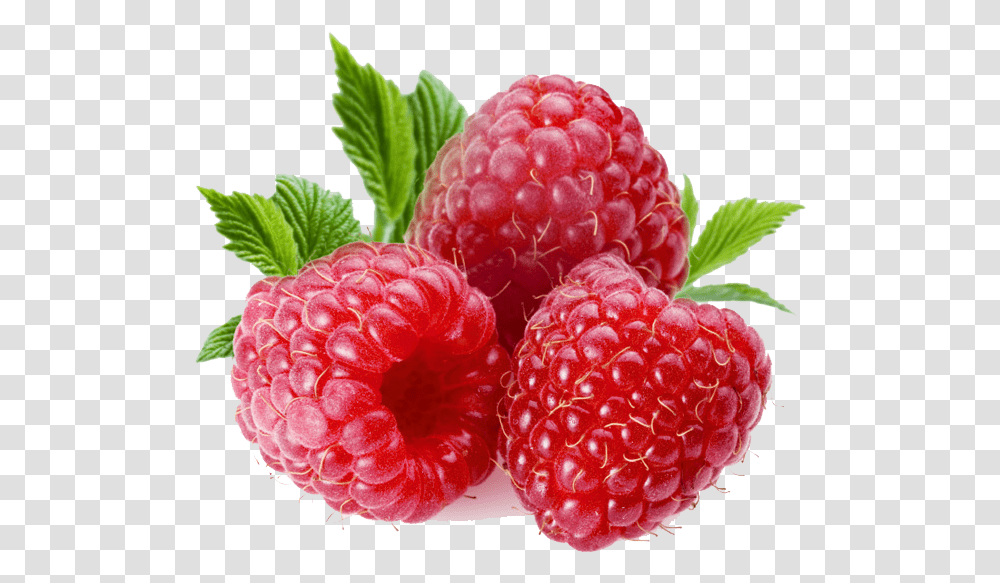 Download Raspberry For Designing Purpose, Fruit, Plant, Food Transparent Png
