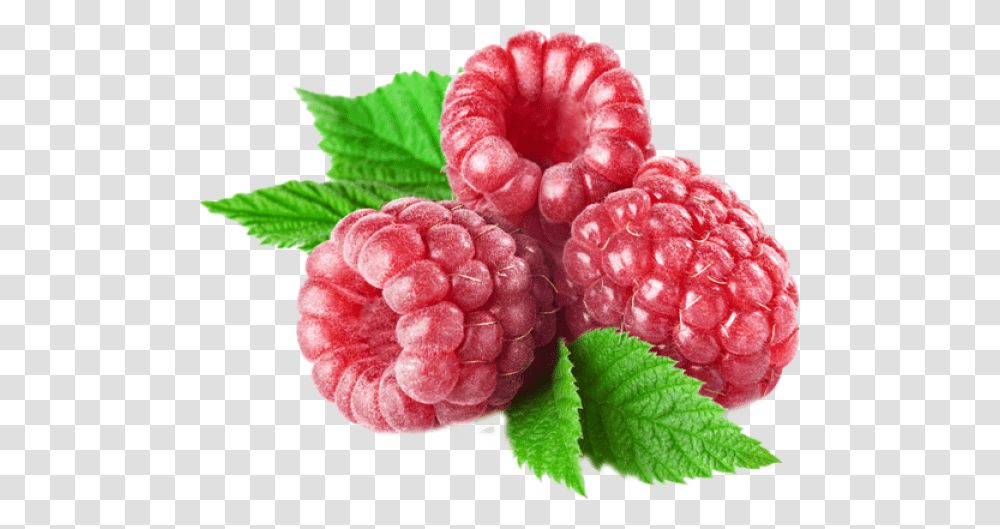 Download Raspberry Free Raspberry Purplr, Fruit, Plant, Food, Vase Transparent Png
