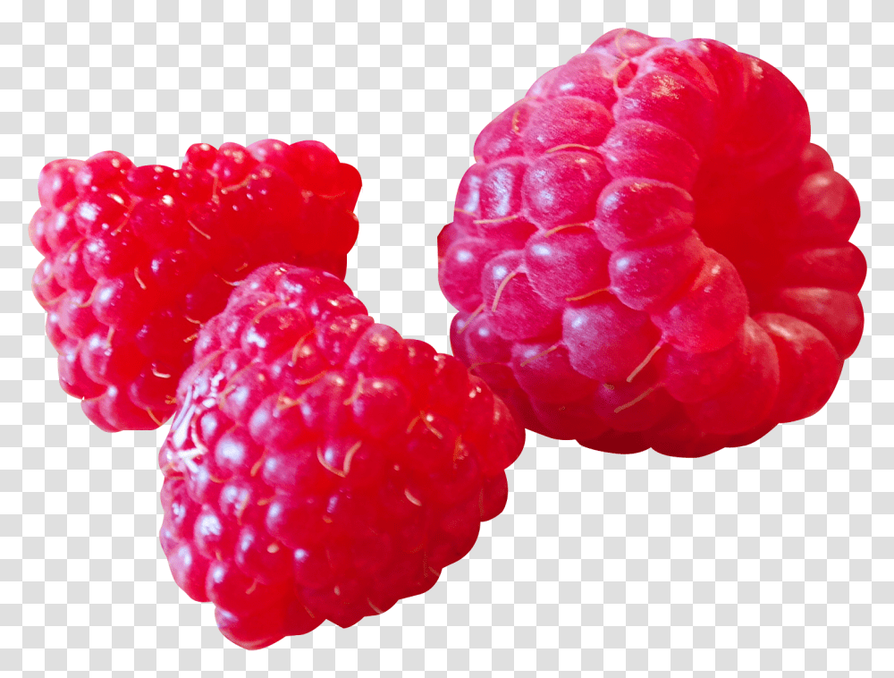 Download Raspberry Image For Free Ahududu, Fruit, Plant, Food, Rose Transparent Png