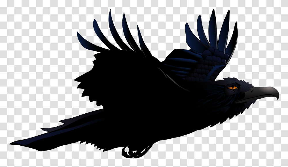 Download Raven Picture, Animal, Bird, Nature, Outdoors Transparent Png