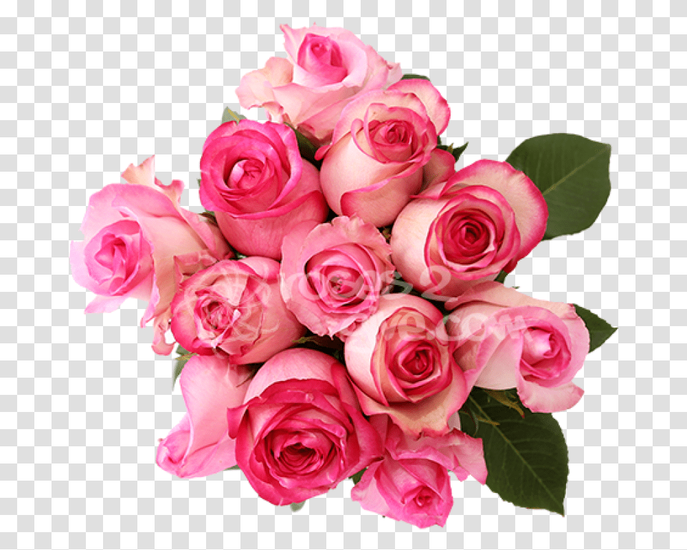 Download Real Bouquet Pink Roses With Dark Pink Edges, Plant, Flower, Blossom, Flower Bouquet Transparent Png