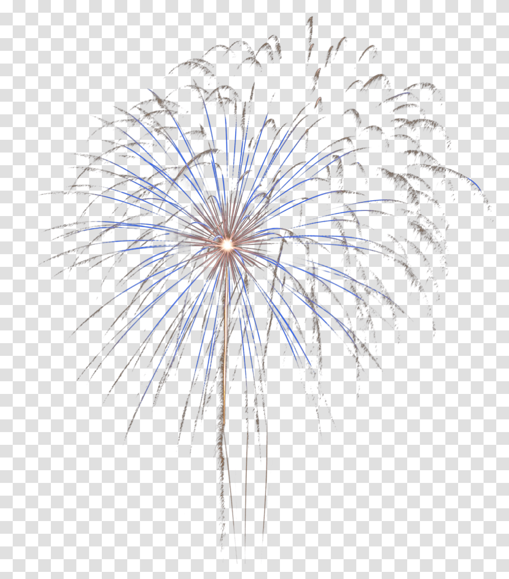 Download Real Fire Work Fireworks, Nature, Outdoors, Night, Plant Transparent Png