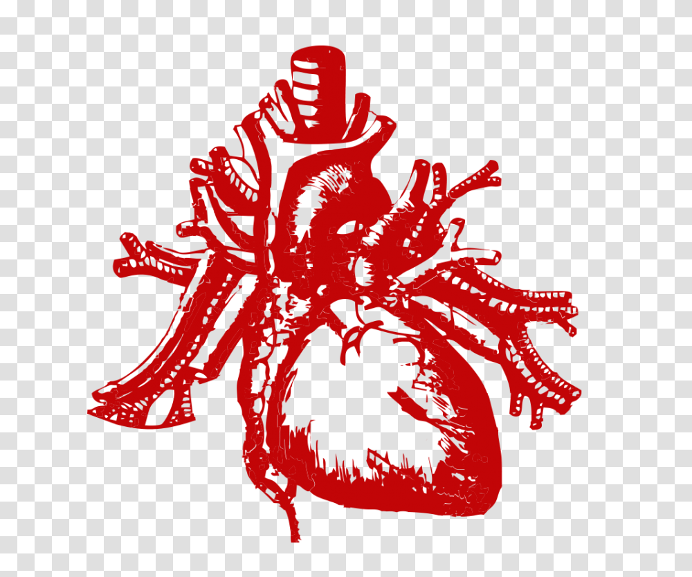 Download Real Heart Images Real Heart Without Background, First Aid, Plot, Text, Diagram Transparent Png