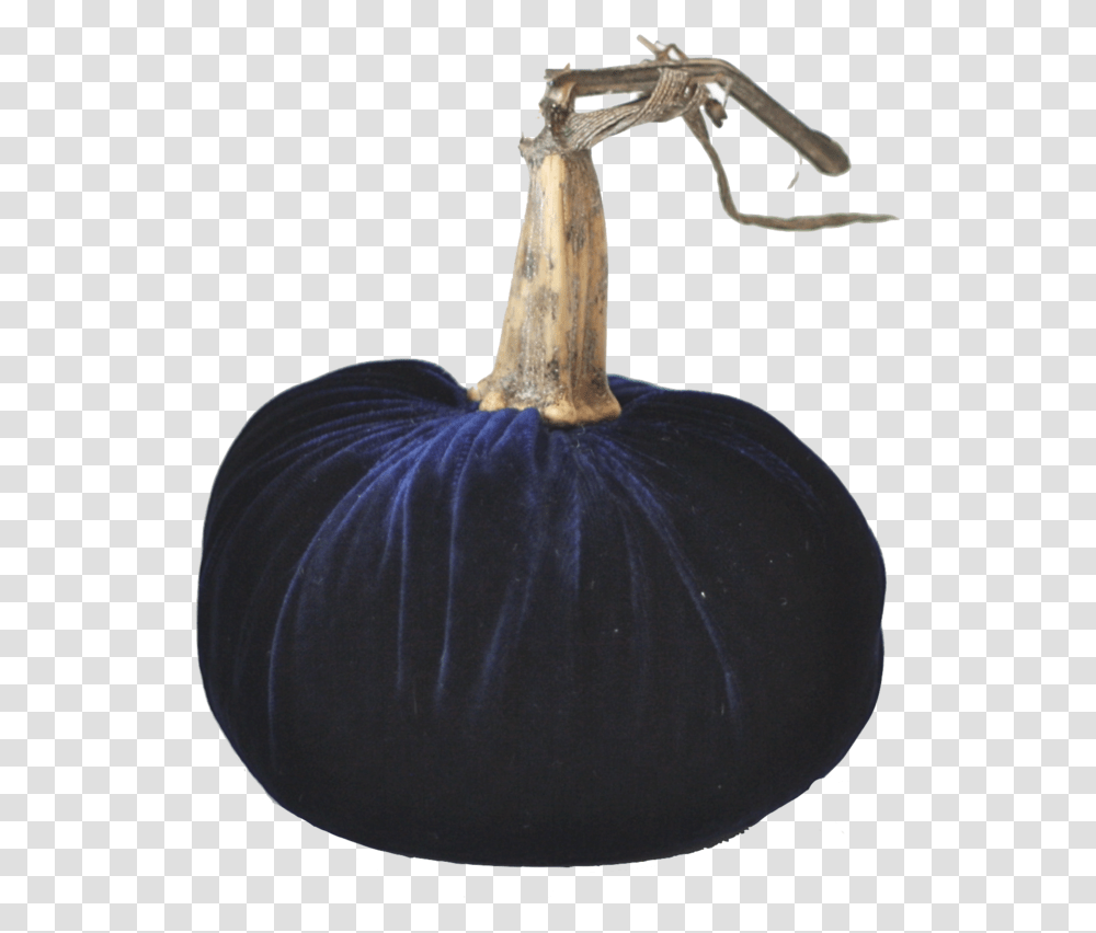 Download Real Pumpkin Still Life Photography, Plant, Vegetable, Food, Produce Transparent Png