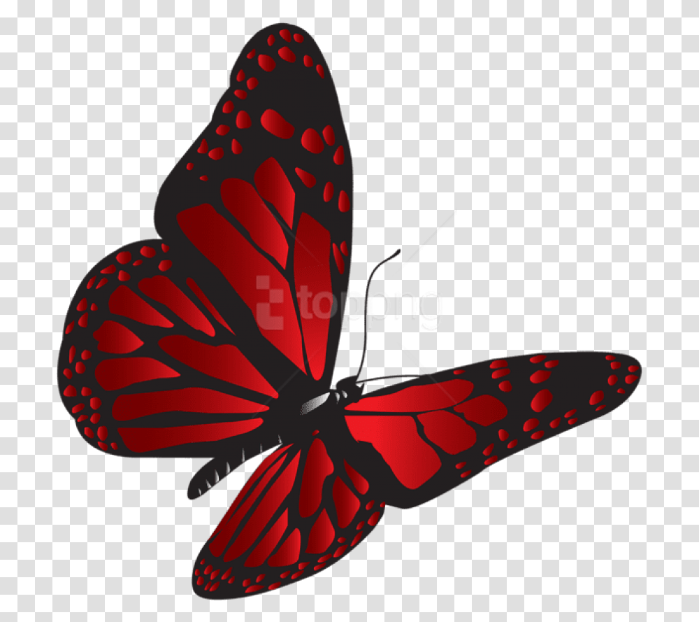 Download Red Butterfly Clipart Photo Clipart Red Butterfly, Insect, Invertebrate, Animal, Moth Transparent Png