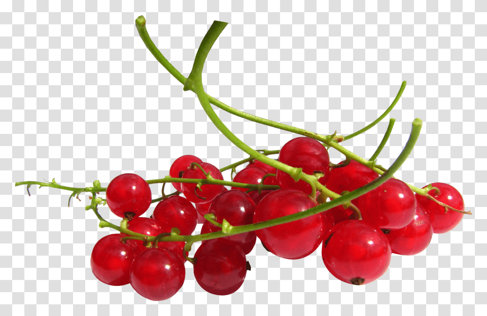 Download Red Currant Berries Redcurrant, Plant, Fruit, Food, Cherry Transparent Png