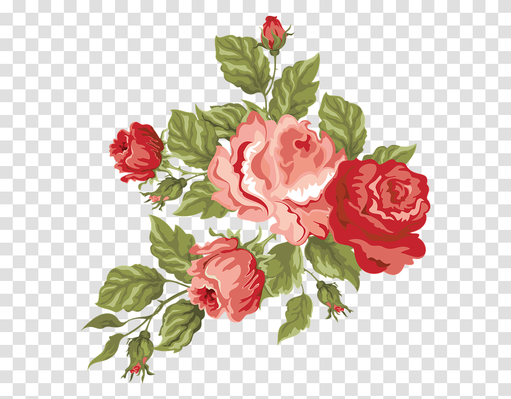 Download Red Flowers High Red Flower, Plant, Carnation, Blossom, Rose Transparent Png