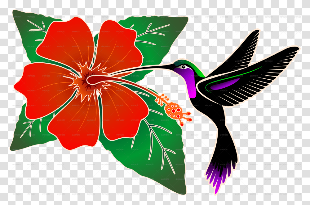 Download Red Hibiscus And Hummingbird Hibiscus With Hummingbird And Hibiscus Clip Art, Plant, Flower, Blossom, Graphics Transparent Png