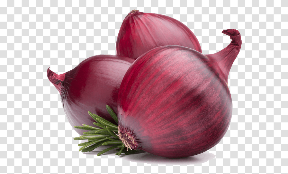Download Red Onion Hd, Plant, Shallot, Vegetable, Food Transparent Png