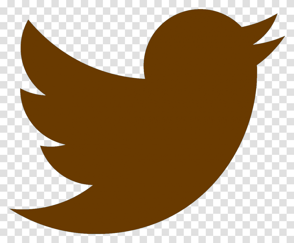 Download Red Rock Bicycle Twitter Bird Logo Red Image Twitter Logo In Purple, Shark, Sea Life, Fish, Animal Transparent Png