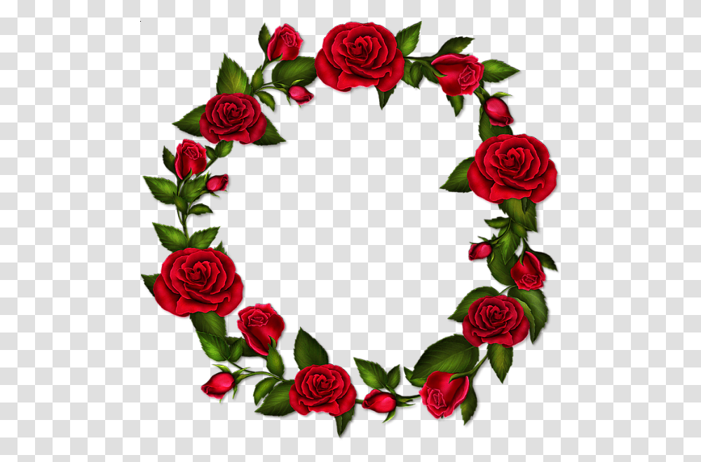 Download Red Rose Flower Frame Clipart Picture Frames Clip Art, Plant, Blossom, Floral Design, Pattern Transparent Png