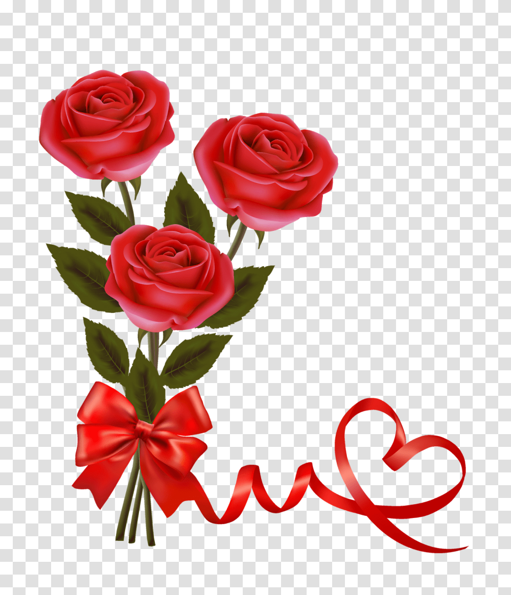 Download Red Rose Flower Image Tag Valentine Day Red Rose, Plant, Blossom, Flower Bouquet, Flower Arrangement Transparent Png