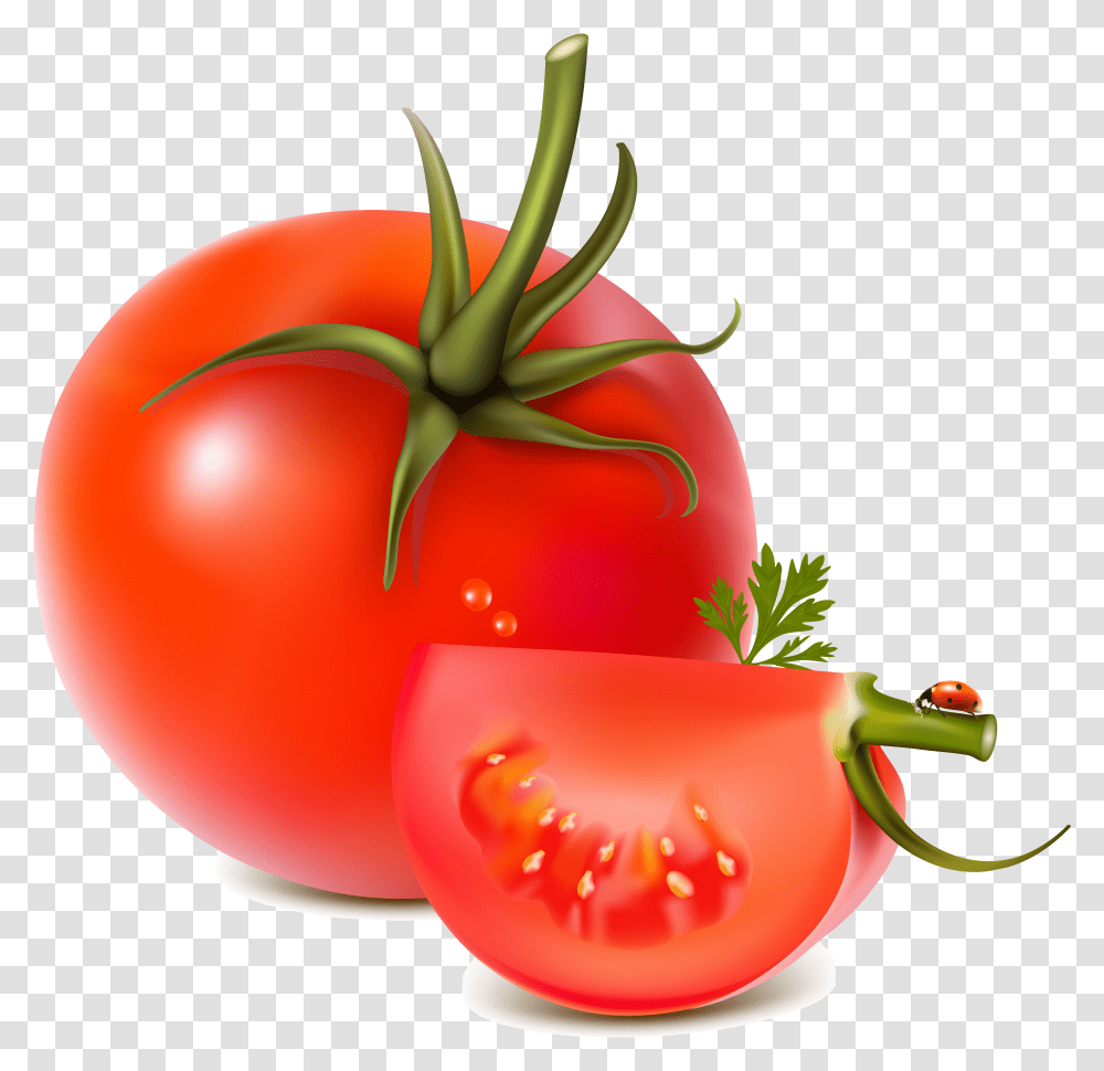 Download Red Tomatoes Image For Free Tomato Vector, Plant, Vegetable, Food, Birthday Cake Transparent Png