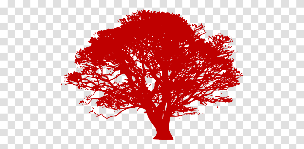 Download Red Tree Silhouette Tree Black And White Vector, Plant, Flower, Pattern, Ornament Transparent Png
