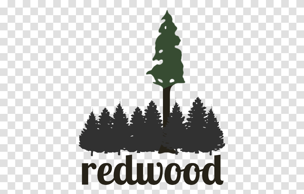 Download Redwood Tree Clip Art Redwood Trees, Poster, Plant, Lighting, Silhouette Transparent Png