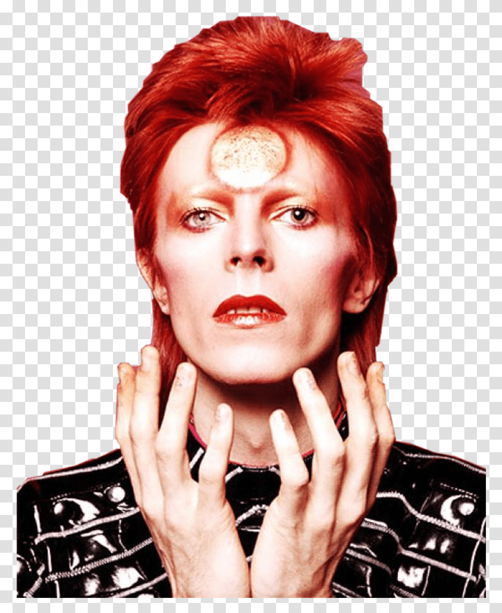 Download Report Abuse Happy Birthday David Bowie, Head, Face, Person, Female Transparent Png
