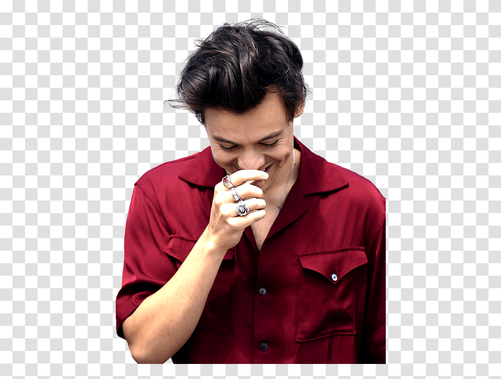 Download Report Abuse Harry Styles Wallpaper Iphone Harry Styles Rose Ring The Great Frog, Person, Human, Finger, Clothing Transparent Png