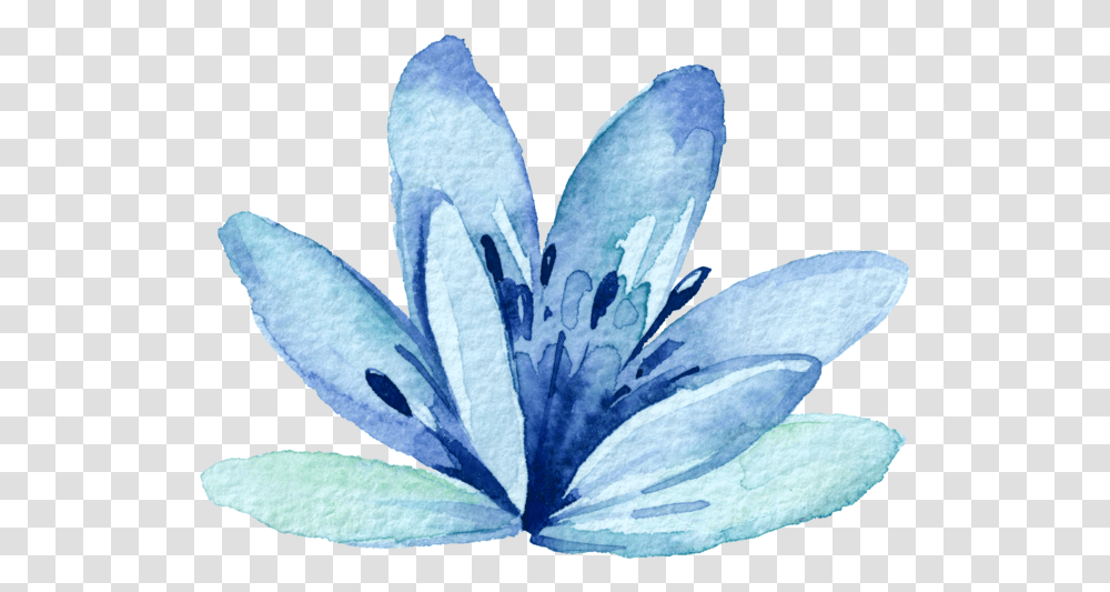 Download Report Abuse Printable Watercolor Botanical Water Paint Flower, Plant, Geranium, Petal, Lily Transparent Png