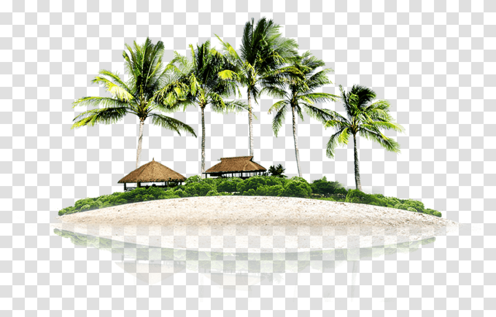 Download Resort Picture Beach Psd Image With No Coconut Trees Background, Summer, Outdoors, Nature, Plant Transparent Png