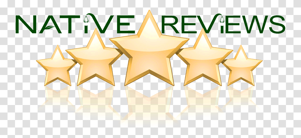 Download Reviews Star Reviews, Symbol, Star Symbol, Gold, Trophy Transparent Png