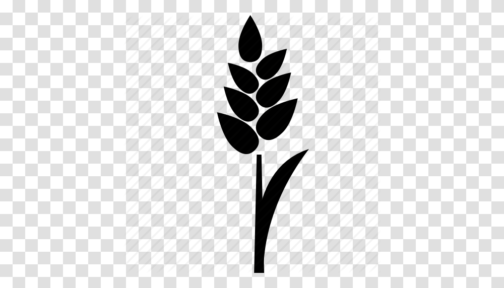 Download Rice Plant Icon Clipart Rice Computer Icons Clip Art, Flower, Blossom, Silhouette, White Transparent Png