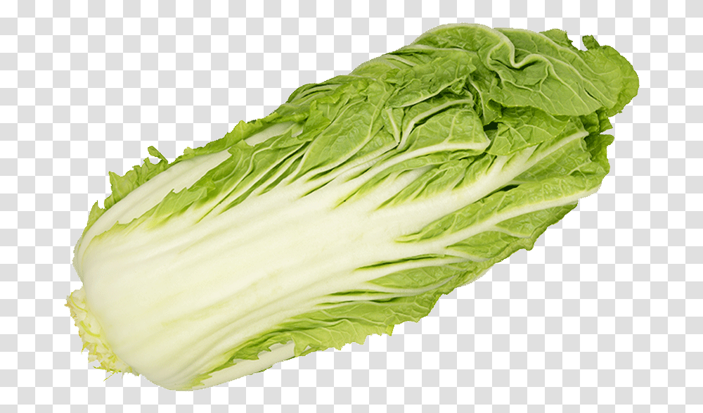 Download Romaine Lettuce Image With Superfood, Plant, Vegetable, Cabbage, Produce Transparent Png